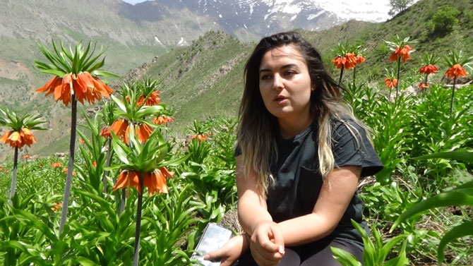 Hakkari'de doğaseverlerin 'Ters Lale' buluşması 18