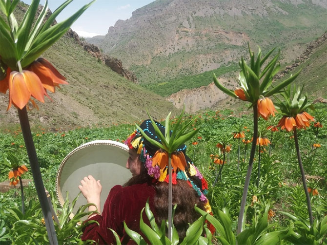 Hakkari'de doğaseverlerin 'Ters Lale' buluşması 19