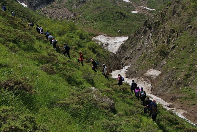 Hakkari'de doğaseverlerin 'Ters Lale' buluşması 2