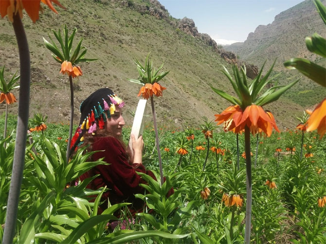 Hakkari'de doğaseverlerin 'Ters Lale' buluşması 21