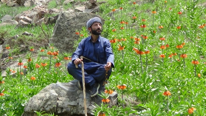 Hakkari'de doğaseverlerin 'Ters Lale' buluşması 24