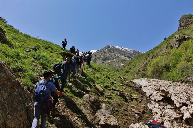 Hakkari'de doğaseverlerin 'Ters Lale' buluşması 4