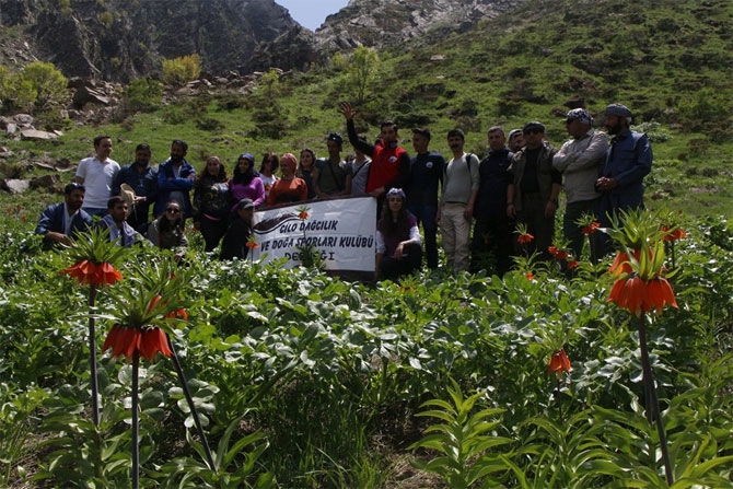Hakkari'de doğaseverlerin 'Ters Lale' buluşması 8