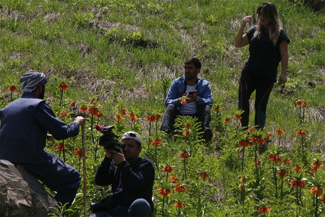 Hakkari'de doğaseverlerin 'Ters Lale' buluşması 9