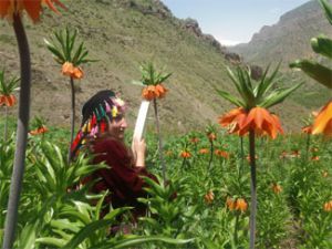 Hakkari'de doğaseverlerin 'Ters Lale' buluşması