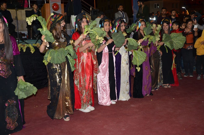 Hakkari'de "Ters Lale ve Uçkun Festivali" 1