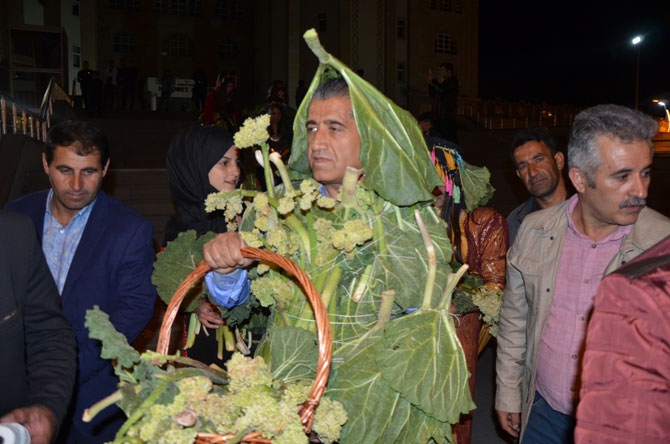 Hakkari'de "Ters Lale ve Uçkun Festivali" 12