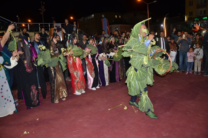 Hakkari'de "Ters Lale ve Uçkun Festivali" 15