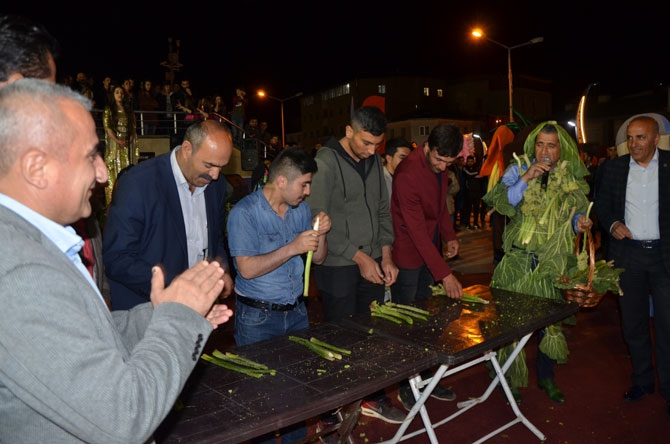 Hakkari'de "Ters Lale ve Uçkun Festivali" 16