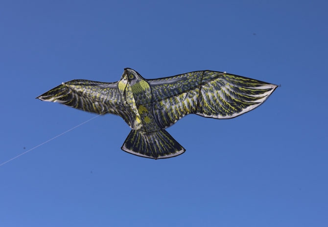 Diyarbakır'da uçurtma şenliği düzenlendi 11