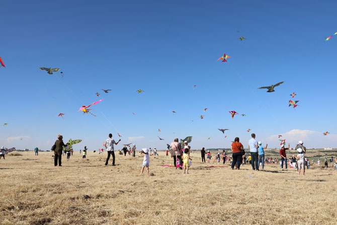 Diyarbakır'da uçurtma şenliği düzenlendi 13