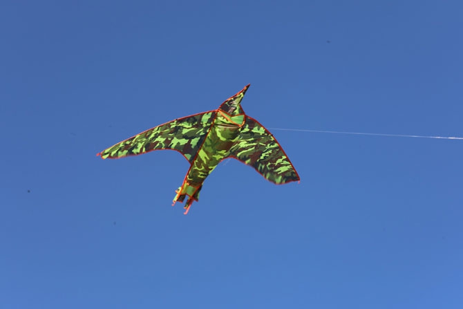 Diyarbakır'da uçurtma şenliği düzenlendi 8