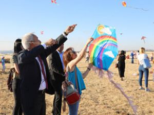 Diyarbakır'da uçurtma şenliği düzenlendi