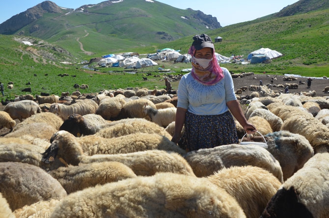 Hakkari'de zorlu yayla yolculuğu 1