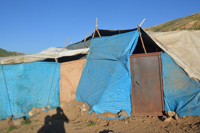 Hakkari'de zorlu yayla yolculuğu 14