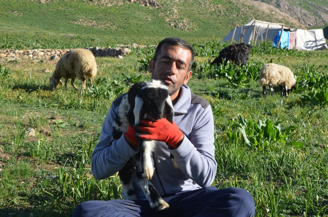 Hakkari'de zorlu yayla yolculuğu 17
