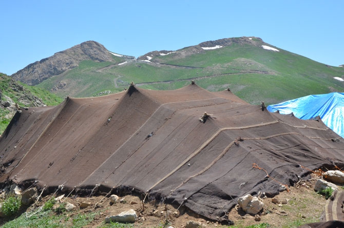 Hakkari'de zorlu yayla yolculuğu 29