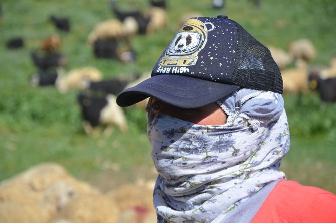 Hakkari'de zorlu yayla yolculuğu 35
