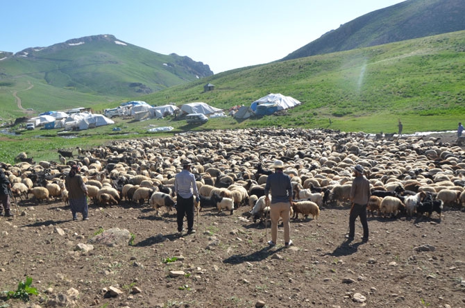 Hakkari'de zorlu yayla yolculuğu 39