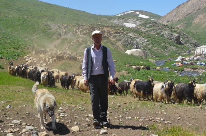 Hakkari'de zorlu yayla yolculuğu 8
