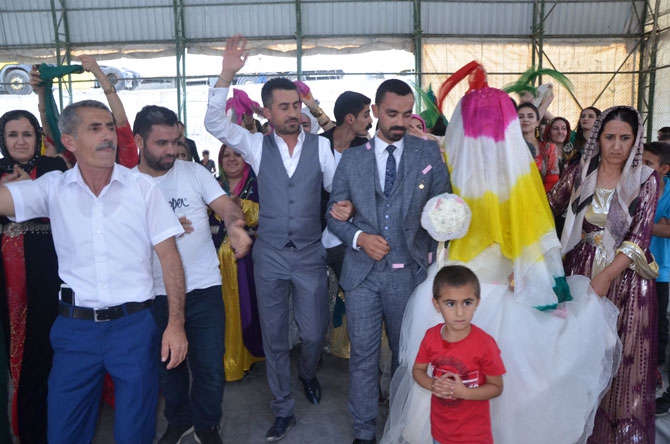 6- 7 Temmuz Hakkari Düğünleri! 37