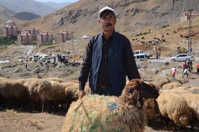 Hakkari’de bayram pazarı kuruldu! 19