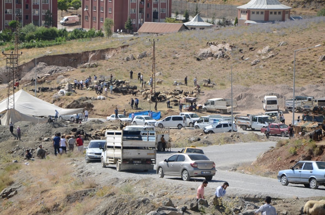 Hakkari’de bayram pazarı kuruldu! 22