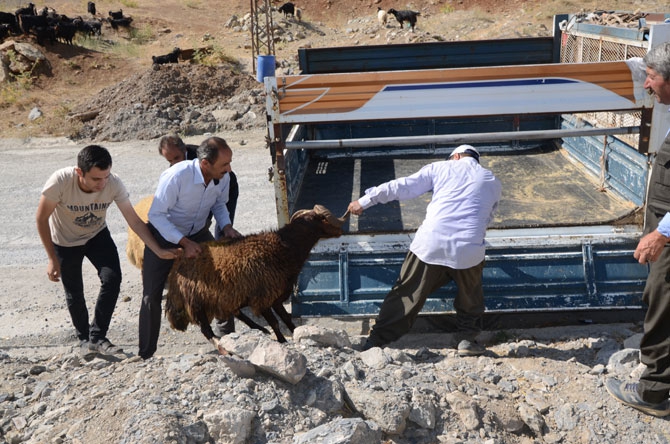 Hakkari’de bayram pazarı kuruldu! 23