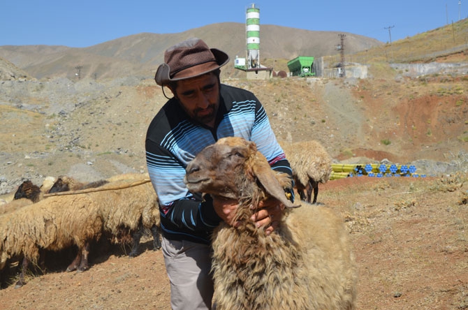 Hakkari’de bayram pazarı kuruldu! 24