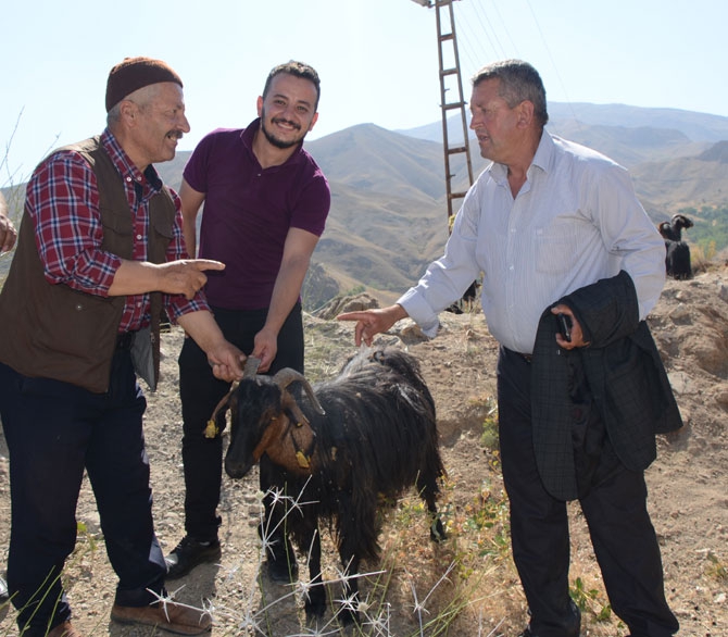 Hakkari’de bayram pazarı kuruldu! 25