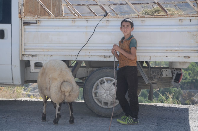 Hakkari’de bayram pazarı kuruldu! 29