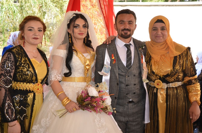 24 -25 Ağustos Hakkari düğünleri 25