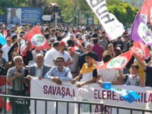 1 Eylül Barış günü etkinlikleri