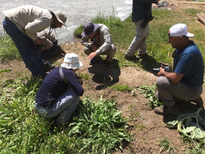 Hakkari Türkiye’nin kelebek zengini! 31