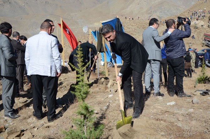 Hakkari'de fidan dikimi etkinliği 10