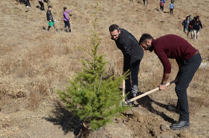 Hakkari'de fidan dikimi etkinliği 11