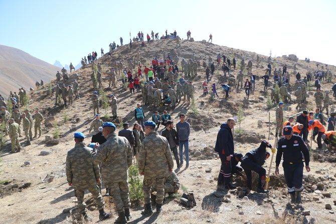 Hakkari'de fidan dikimi etkinliği 12