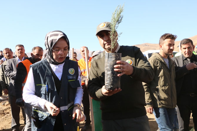 Hakkari'de fidan dikimi etkinliği 14