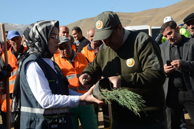 Hakkari'de fidan dikimi etkinliği 17