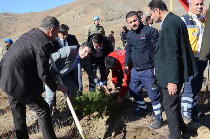 Hakkari'de fidan dikimi etkinliği 18