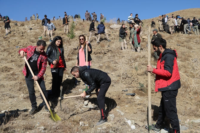 Hakkari'de fidan dikimi etkinliği 22
