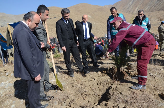 Hakkari'de fidan dikimi etkinliği 25