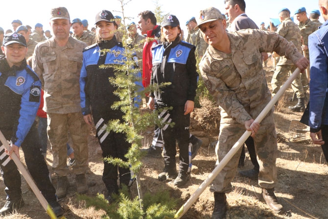 Hakkari'de fidan dikimi etkinliği 29