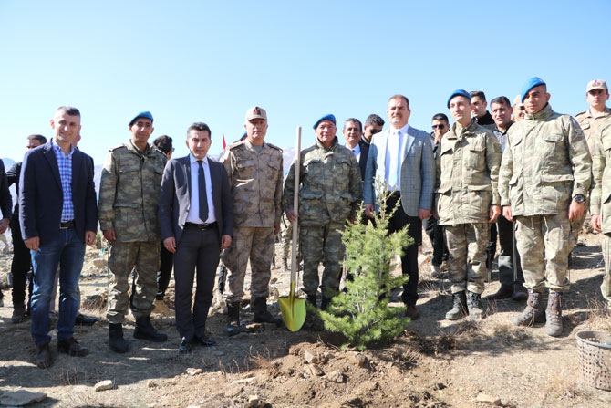 Hakkari'de fidan dikimi etkinliği 3