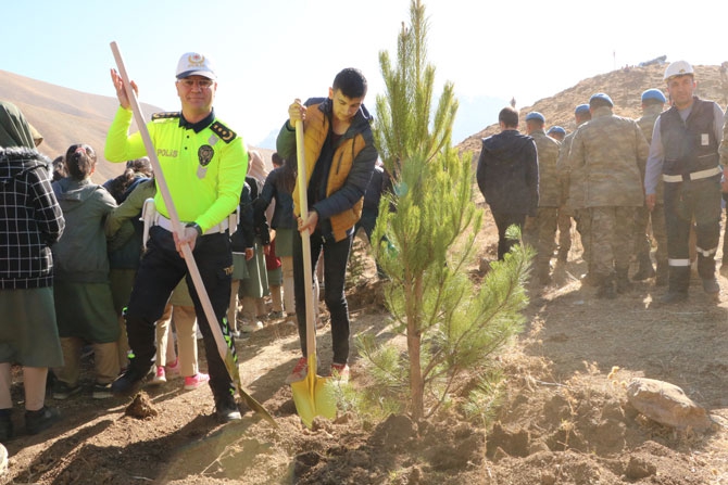 Hakkari'de fidan dikimi etkinliği 30