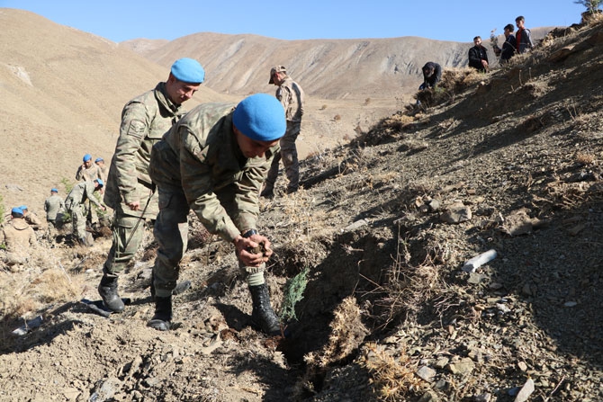 Hakkari'de fidan dikimi etkinliği 31