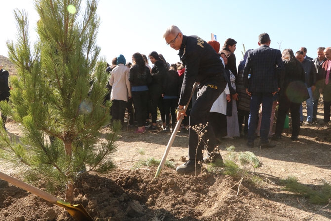 Hakkari'de fidan dikimi etkinliği 32