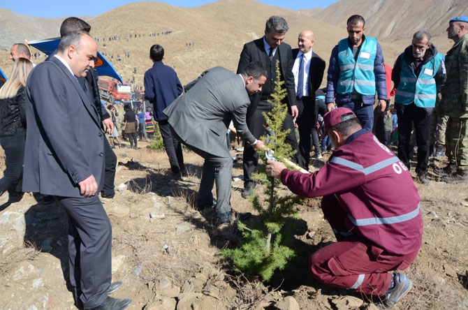 Hakkari'de fidan dikimi etkinliği 33