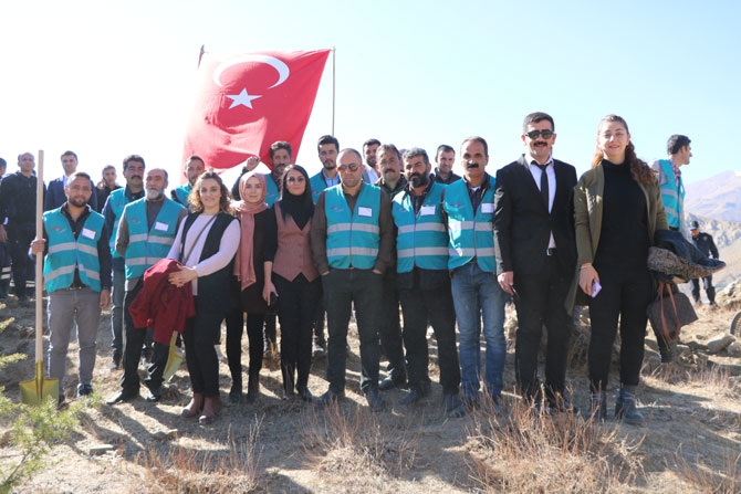 Hakkari'de fidan dikimi etkinliği 34