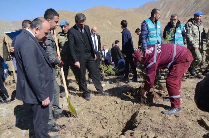 Hakkari'de fidan dikimi etkinliği 35